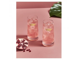 Набор стаканов для воды Spode Spode Диковинные создания 426 мл 2 шт Набор стаканов для воды Spode Spode Диковинные создания 426 мл 2 шт