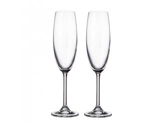 Набор бокалов для шампанского Crystalite Bohemia Sylvia/Klara 220мл 2шт