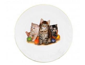 Тарелка мелкая подвесная 19см Домашние любимцы котята