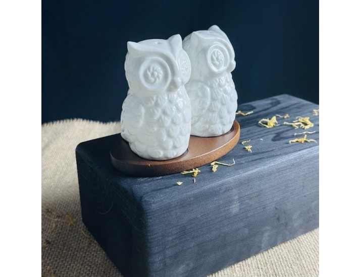 Набор солонок на подставке 2шт Lenardi Tropical Совы 235-097