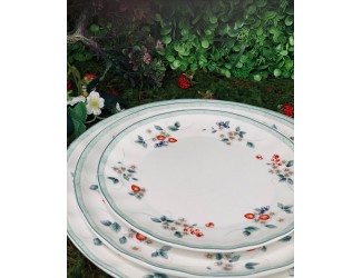 Набор тарелок 6шт 27см Lenardi Земляника 105-943