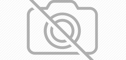 Зеленый цветок Bernadotte (Зелёный лопух Бернадотт)