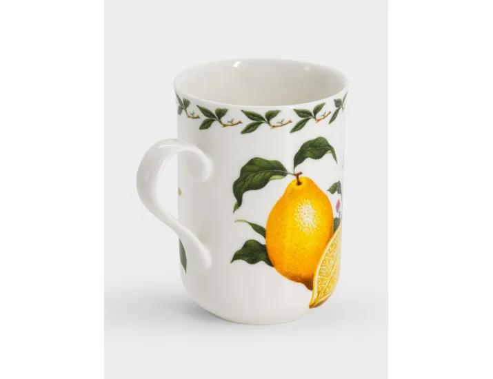 Кружка 300 мл белая Лимон Maxwell & Williams Orchard Fruits