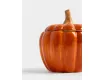 Кружка 450 мл с крышкой оранжевая Тыква Anna Lafarg Bright pumpkin