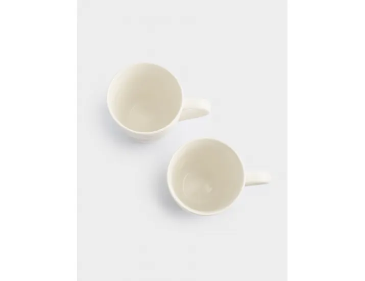 Кружка 350 мл 2 шт белая Цветы и листья Anna Lafarg Florance