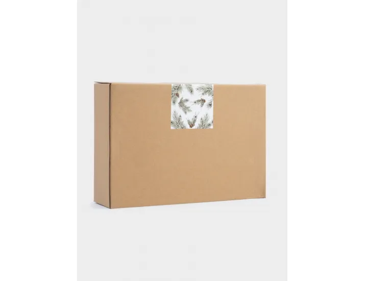 Блюдо 23х15 см зеленое Anna Lafarg Шишки на еловой ветке Fir branch