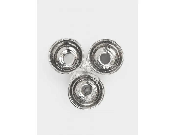 Менажница с декором 23х17 см 3 отделения с ручкой серебристая Олень Anna Lafarg Maral grey