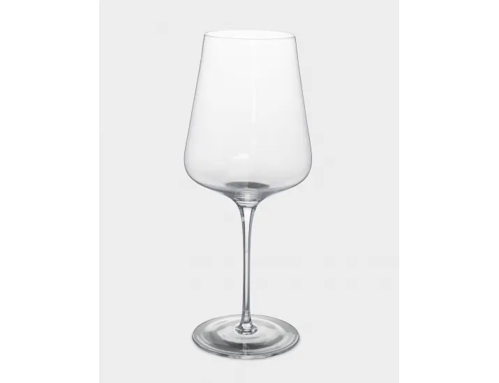 Бокал для белого вина 450 мл 2 шт Anna Lafarg Rodengo