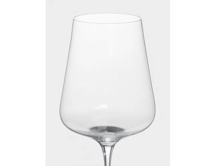 Бокал для белого вина 450 мл 2 шт Anna Lafarg Rodengo