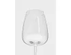 Бокал для белого вина 500 мл 2 шт Anna Lafarg Melody