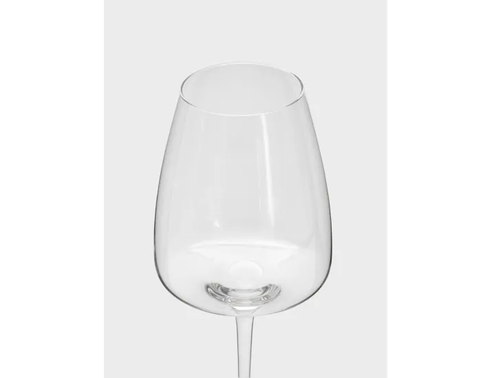 Бокал для белого вина 500 мл 2 шт Anna Lafarg Melody