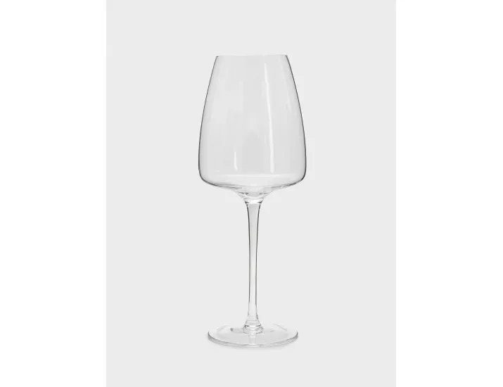 Бокал для белого вина 500 мл 2 шт Anna Lafarg Melody