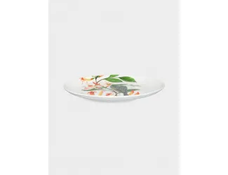 Тарелка десертная, 20 см, фарфор F, белая, Бородавчатый медосос, Lyric