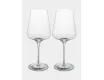Бокал для белого вина 450 мл 2 шт Anna Lafarg Rodengo