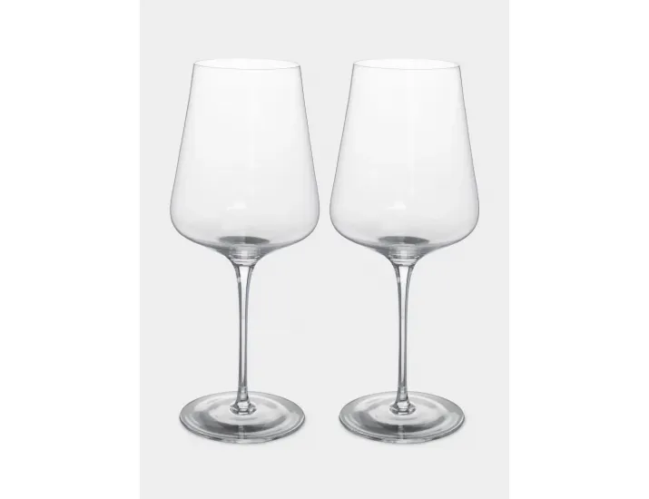 Бокал для белого вина 450 мл 2 шт Anna Lafarg Rodengo