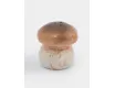 Емкость для соли или перца 7 см молочно-коричневая Гриб Anna Lafarg Autumn forest