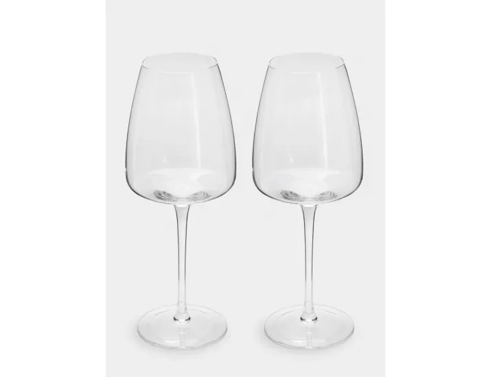 Бокал для белого вина 500 мл 2 шт Anna Lafarg Melody