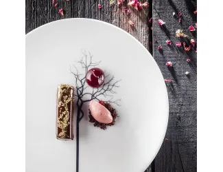 Тарелка обеденная Dibbern "Чёрный лес" 28см DBN0302802400