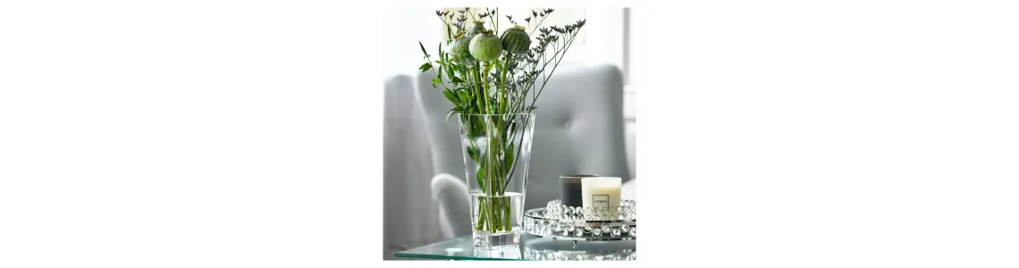 Элегант Krosno