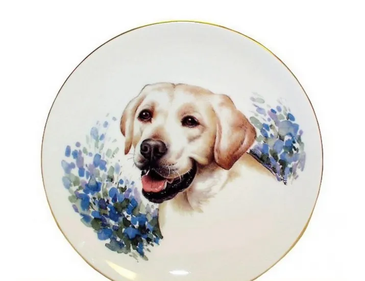 Тарелка Leander мелкая подвесная 24 см Лабрадор