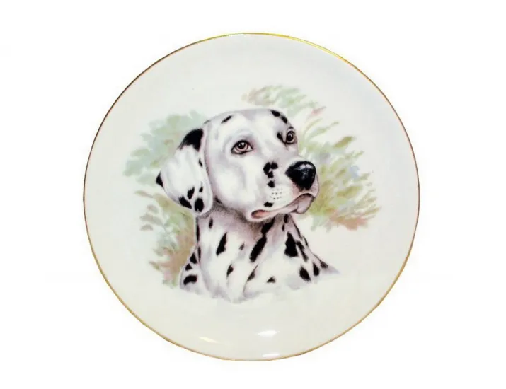 Тарелка Leander мелкая подвесная 24 см Далматинец