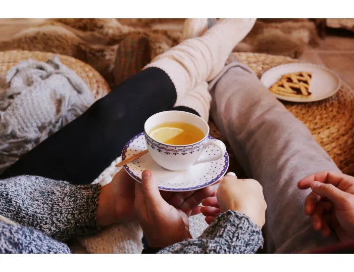 Чайный сервиз на 4 персоны 11 предметов Leander Hyggelyne синий 71160717-327E