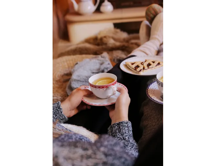 Чайный сервиз на 4 персоны 11 предметов Leander Hyggelyne красный 71160717-327D