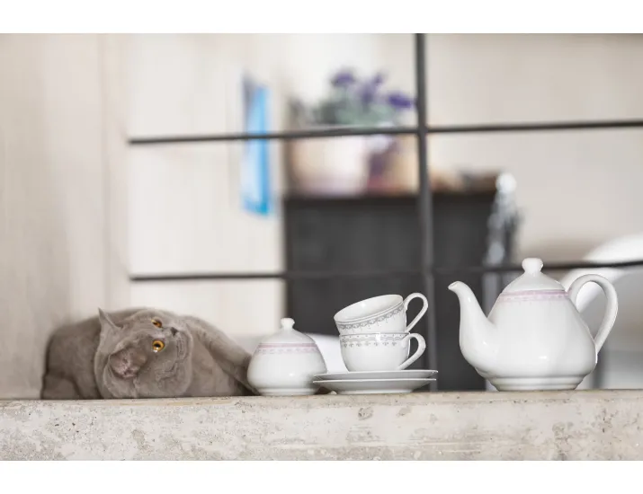 Чайный сервиз на 4 персоны 11 предметов Leander Hyggelyne серый 71160717-327C