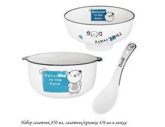 Набор салатник 950мл, салатник/крышка 450мл и ложка 315-063