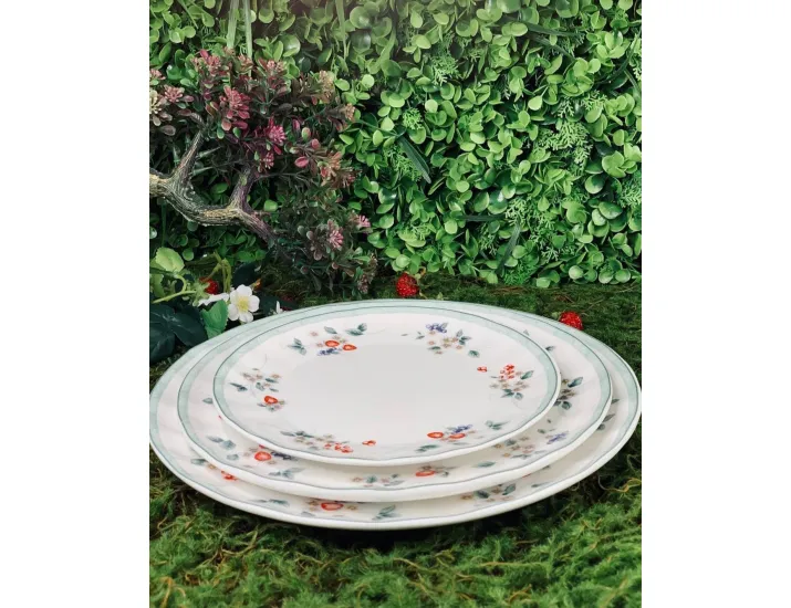 Набор тарелок 6шт 27см Lenardi Земляника 105-943