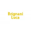 Brignani Luca