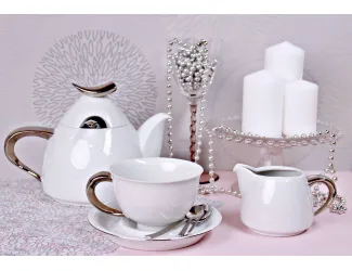 Сервиз кофейный с чайником 0,55л Rudolf Kampf Кельт белый с платиной 52160714-1122k