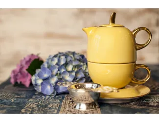 Восточный набор Rudolf Kampf Duo 3 предмета (чайник0,4+чашка0,2), жёлтый